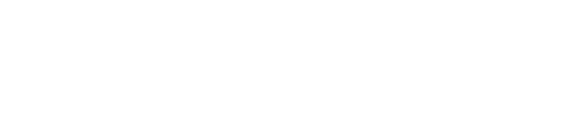 Nuvvo Consultoria